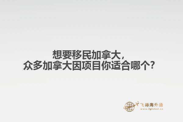 建筑
