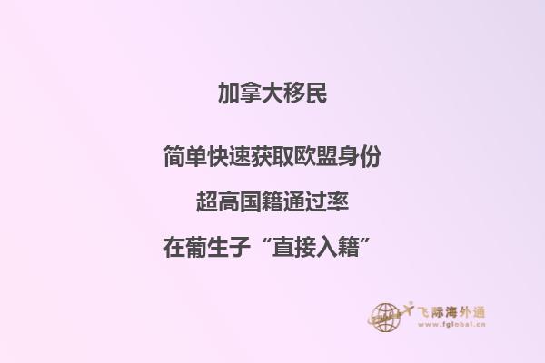 加拿大移民中介机构选择