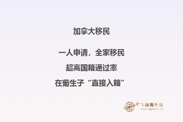 移民加拿大买房的条件