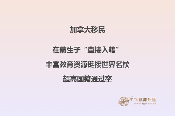 NOC职业列表