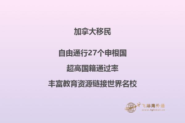 移民局背调电话注意事项，应对移民局背景调查方法