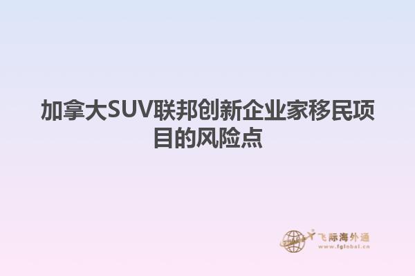 加拿大SUV联邦创新企业家移民项目的风险点