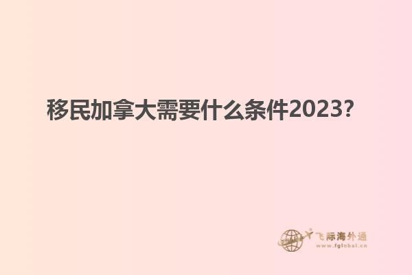 移民加拿大需要什么条件2023？