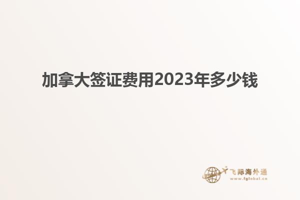 加拿大签证费用2023年多少钱