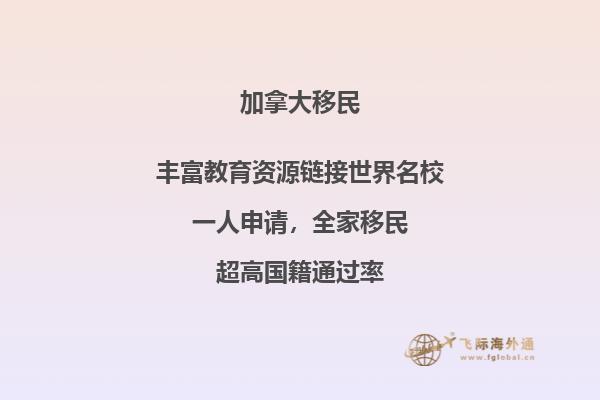 加拿大湖心岛公园前高楼是干什么的