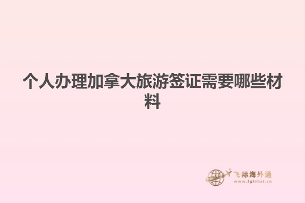 个人办理加拿大旅游签证需要哪些材料