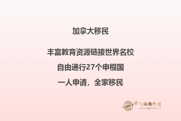 加拿大有哪些名校,国际排名如何