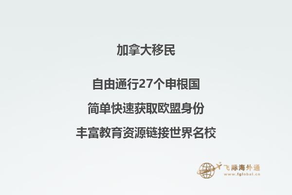 加拿大签证网上申请提交后名字写错了