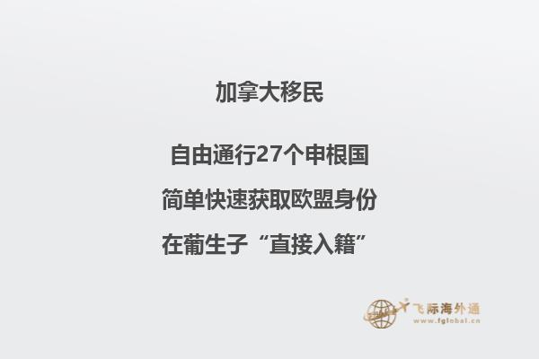 加拿大湖首大学2023年世界排名