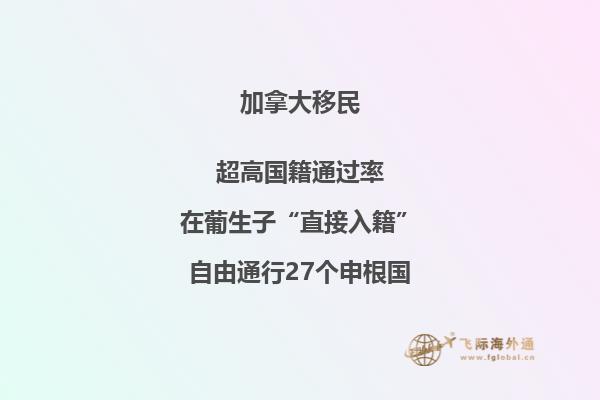 加拿大人口分布特点为什么和巴西相似