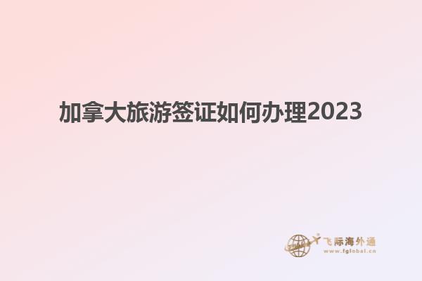 加拿大旅游签证如何办理2023