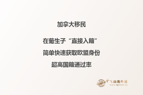 加拿大旅游签证通过率提高90%