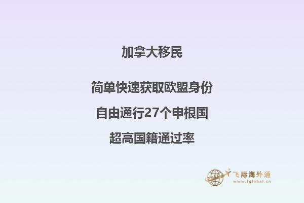 加拿大大学排名2023最新排名