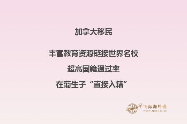 加拿大枫叶卡需要什么条件才可以