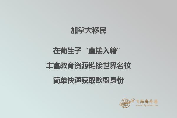 加拿大移民官方网站上传资料查询不到
