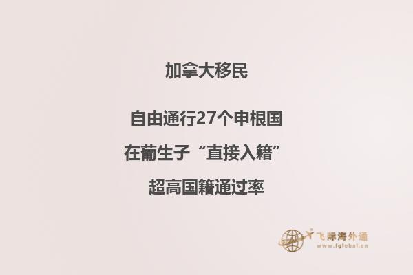 加拿大旅游签证申请旅行经历漏了一条
