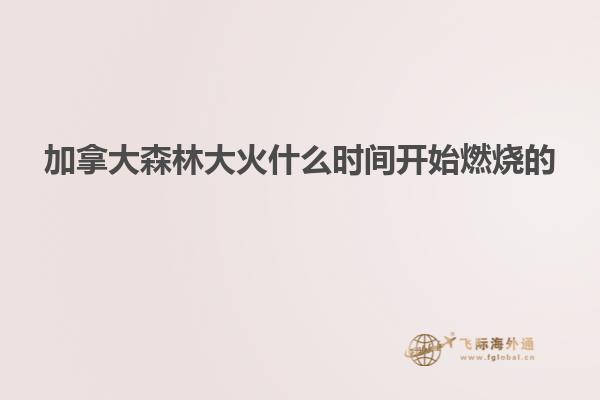 加拿大森林大火什么时间开始燃烧的