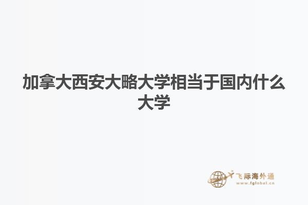 加拿大西安大略大学相当于国内什么大学