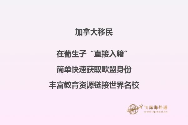 加拿大湖首大学相当于国内那些大学