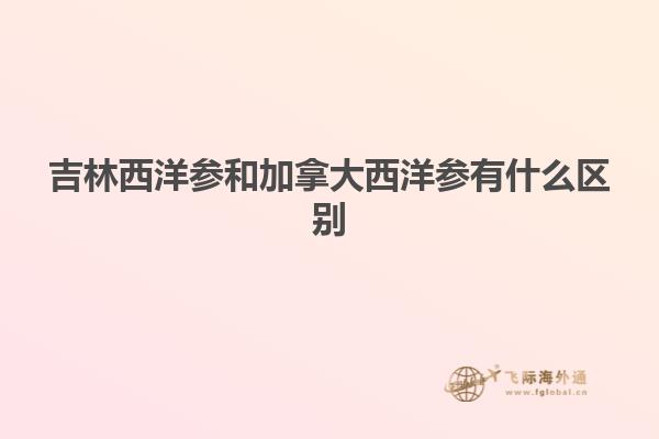 吉林西洋参和加拿大西洋参有什么区别