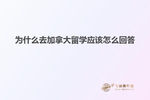 为什么去加拿大留学应该怎么回答