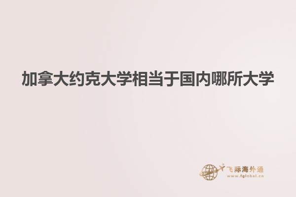 加拿大约克大学相当于国内哪所大学