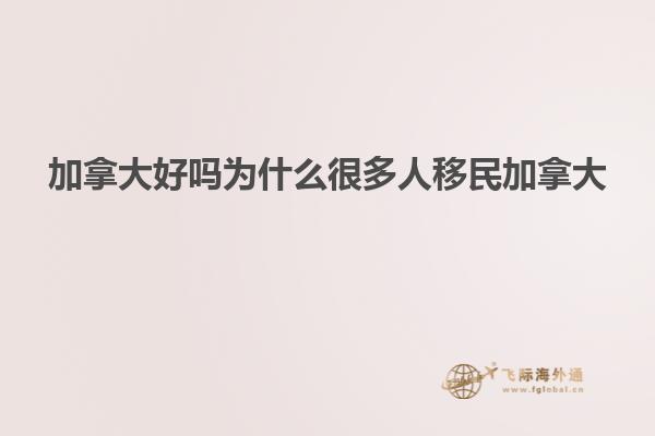 加拿大好吗为什么很多人移民加拿大