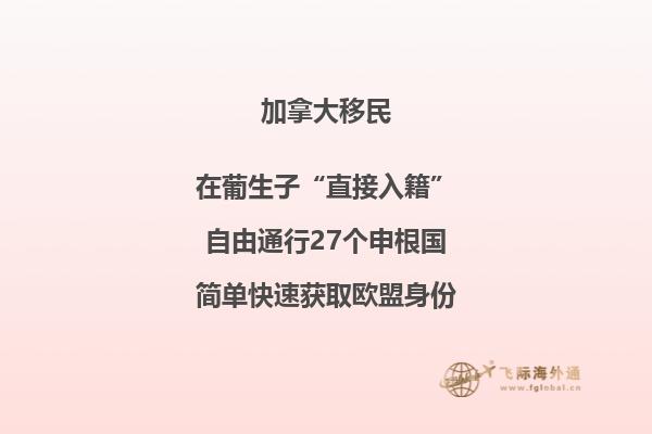 加拿大签证有效期内可以多次往返吗