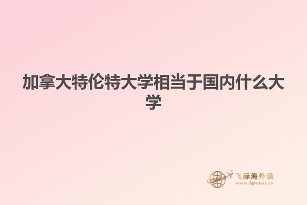 加拿大特伦特大学相当于国内什么大学