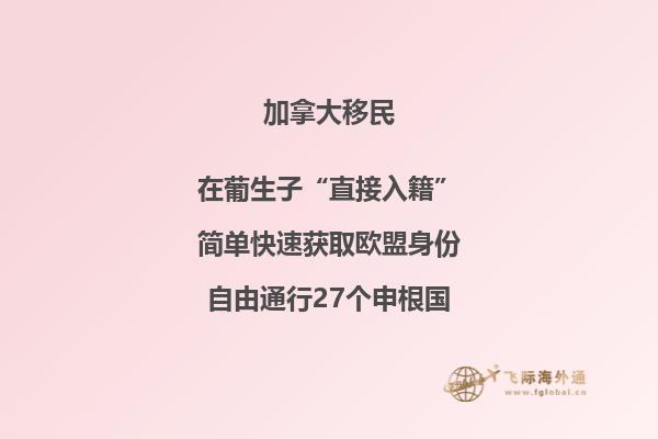 加拿大50岁以上免费移民政策 养老金
