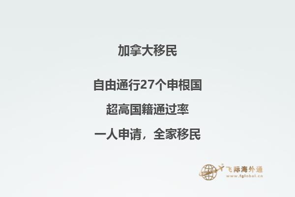 加拿大有哪些大学排名世界前100名