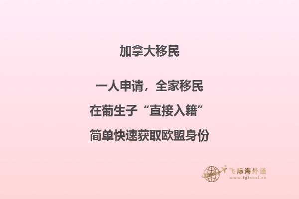 加拿大留学签证如何办理流程小红书