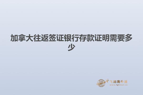 加拿大往返签证银行存款证明需要多少