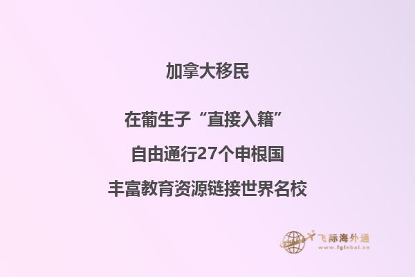 加拿大前二十名的大学 2020