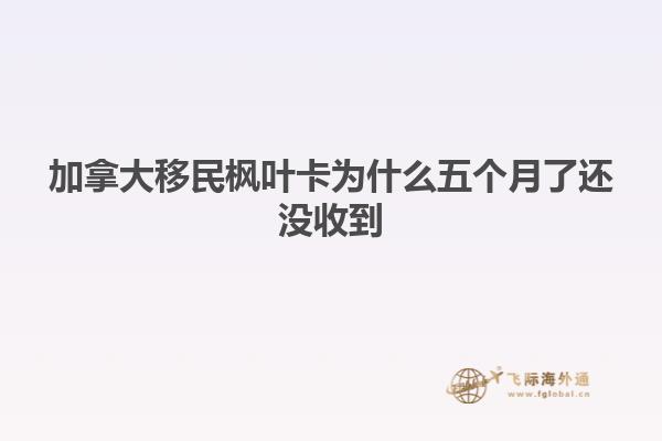 加拿大移民枫叶卡为什么五个月了还没收到