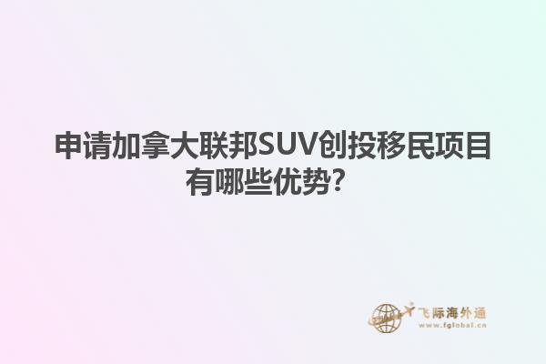 申请加拿大联邦SUV创投移民项目有哪些优势？