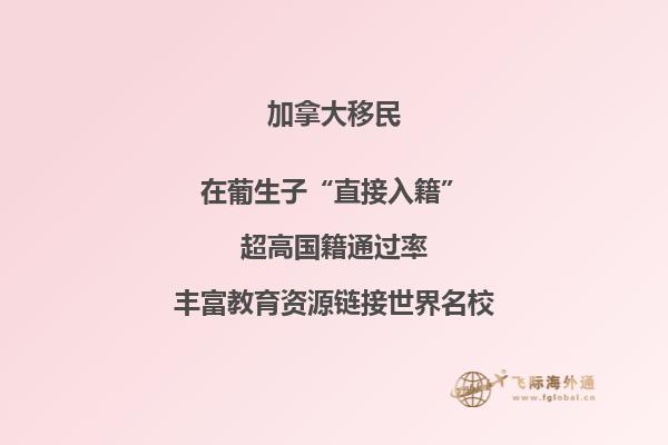 在加拿大留学需要什么