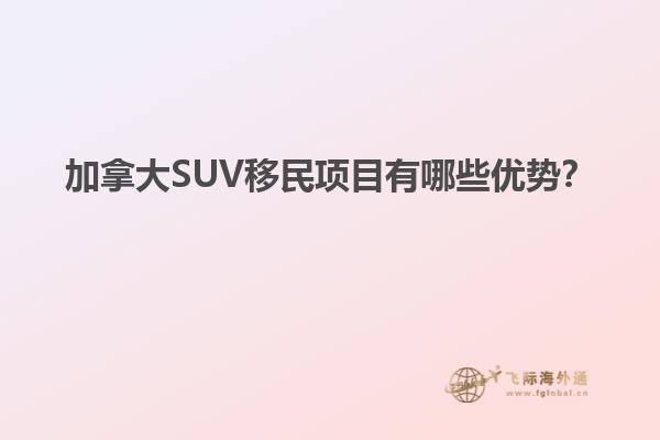 加拿大SUV移民项目有哪些优势？