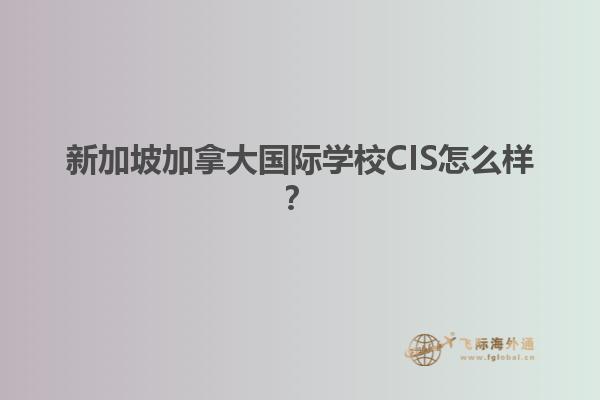 新加坡加拿大国际学校CIS怎么样？