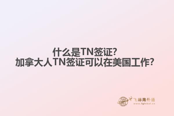 什么是TN签证？加拿大人TN签证可以在美国工作？