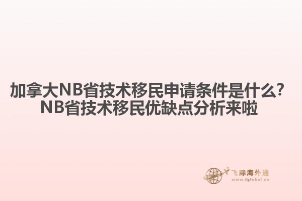 加拿大NB省技术移民申请条件是什么？NB省技术移民优缺点分析来啦 