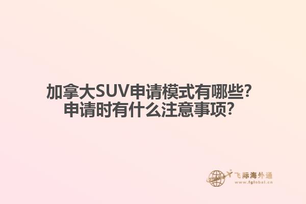 加拿大SUV申请模式有哪些？申请时有什么注意事项？