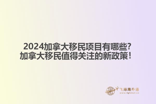  2024加拿大移民项目有哪些？加拿大移民值得关注的新政策！