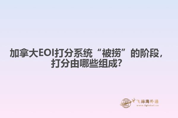 加拿大EOI打分系统“被捞”的阶段，打分由哪些组成？