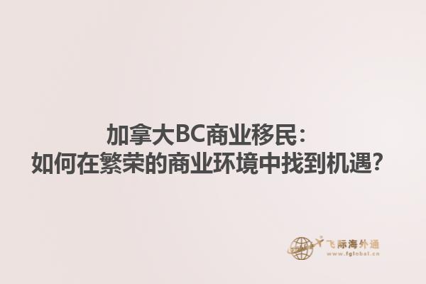 加拿大BC商业移民：如何在繁荣的商业环境中找到机遇？