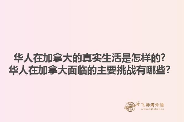 华人在加拿大的真实生活是怎样的？华人在加拿大面临的主要挑战有哪些？1.jpg