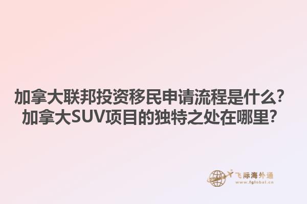 加拿大联邦投资移民申请流程是什么？加拿大SUV项目的独特之处在哪里？