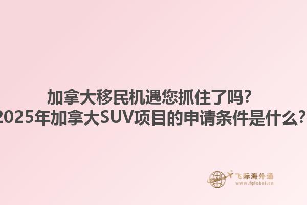 加拿大移民机遇您抓住了吗？2025年加拿大SUV项目的申请条件是什么？1.jpg