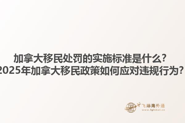 加拿大移民处罚的实施标准是什么？2025年加拿大移民政策如何应对违规行为？