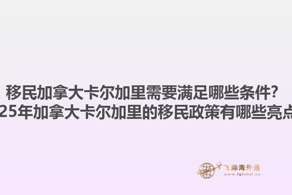移民加拿大卡尔加里需要满足哪些条件？2025年加拿大卡尔加里的移民政策有哪些亮点？